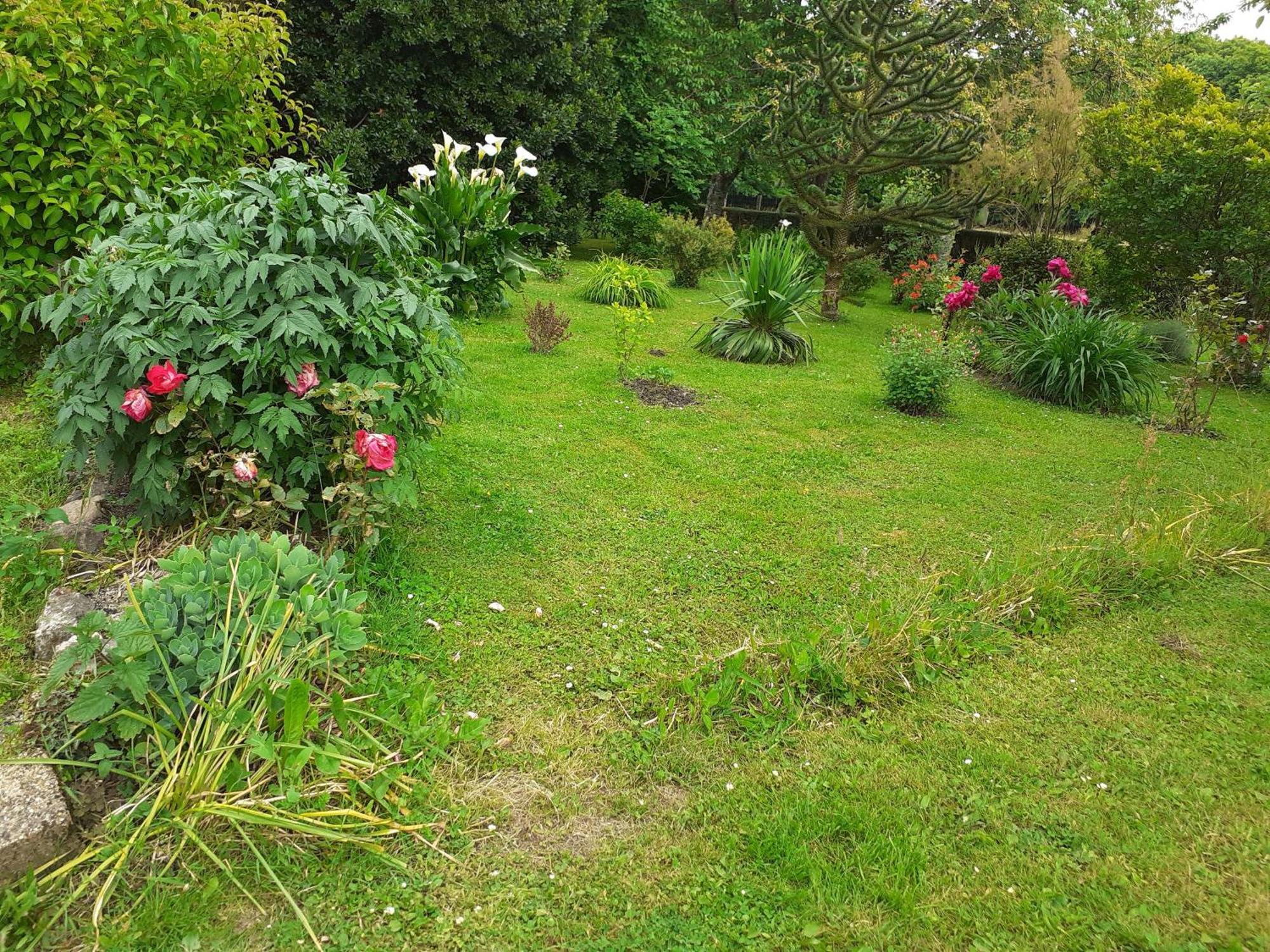 Gîte Crissé, 4 pièces, 6 personnes - FR-1-410-186 Esterno foto
